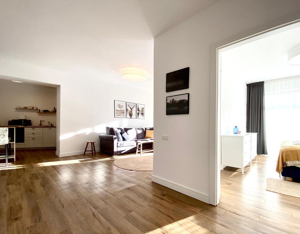 Cosy Hollow - Pet Friendly Braşov Exterior foto