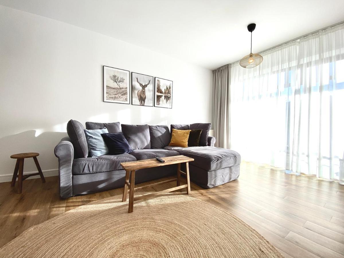 Cosy Hollow - Pet Friendly Braşov Exterior foto