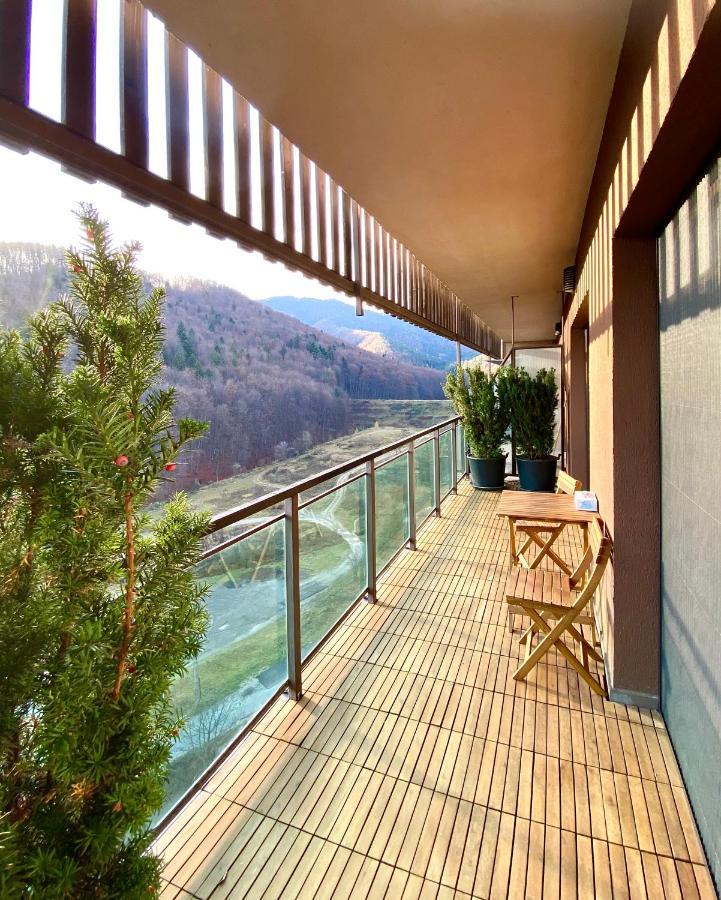 Cosy Hollow - Pet Friendly Braşov Exterior foto